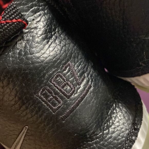 EUC 2018 Nike LeBron James 16 Ashes Black White Oreo Mens Basketball Shoes - Picture 10 of 10